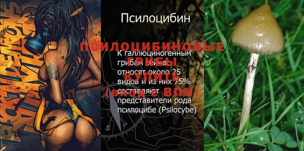 СК Покачи