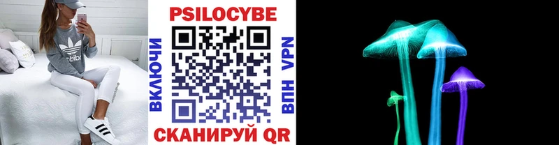 Галлюциногенные грибы Psilocybine cubensis  Бугуруслан 